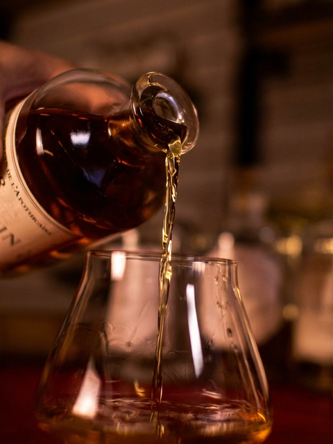 Sensory Escape: Aperitifs, Flavors, Rums & Spirits