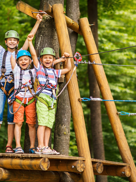 Tree climbing – Forest adventure with giant zip lines