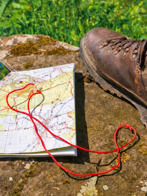 Explore the forest in a different way - Scavenger hunts & orienteering